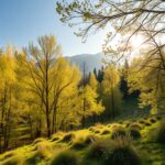 My-Eco-Dom.ru | Коврики для прихожей из кокосового волокна